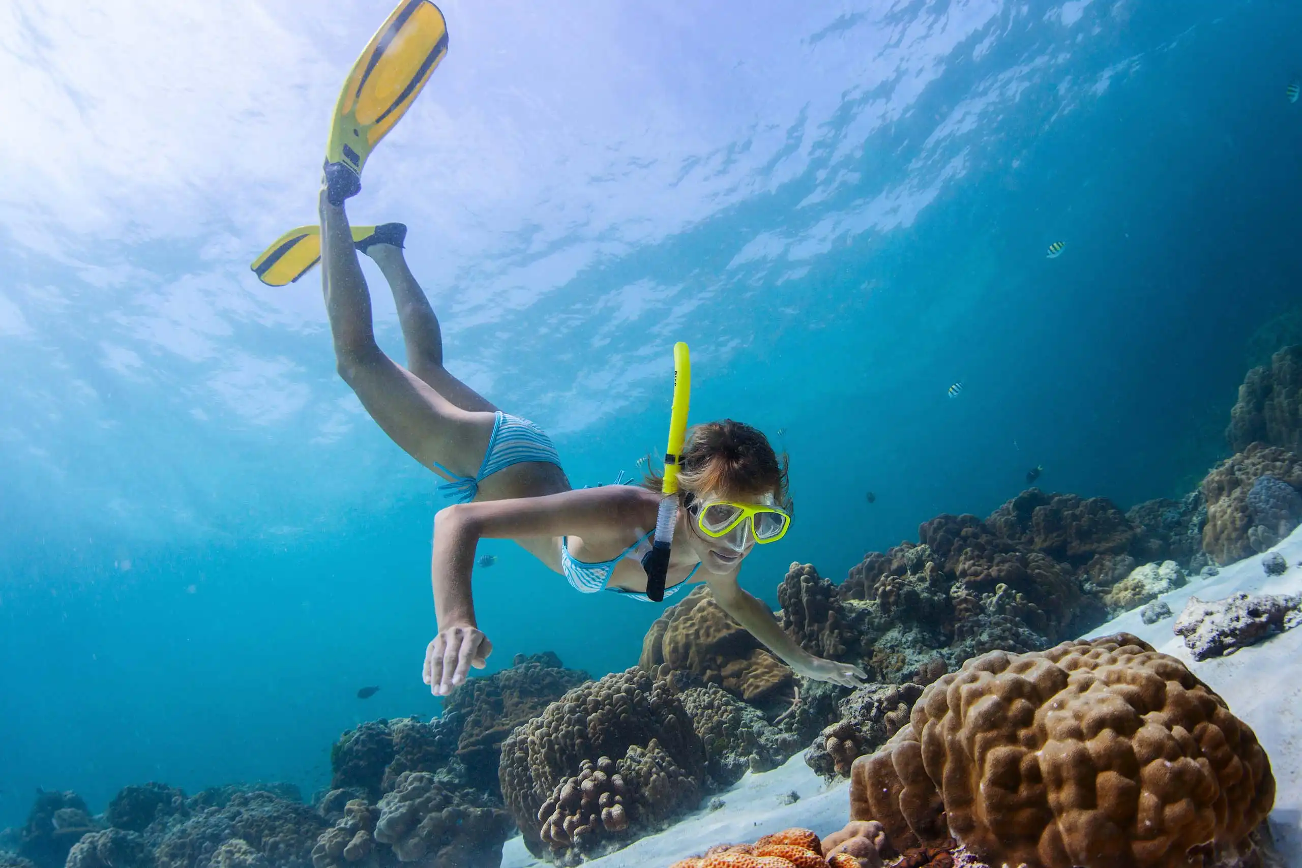 Person snorkeling near a coral reef